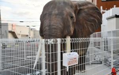 アミューズメント付小児科 象さん